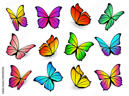 Butterflies isolated on white background. Vector flying colorful butterfly set with bright spring colours. Gradient beautiful icon collection. 