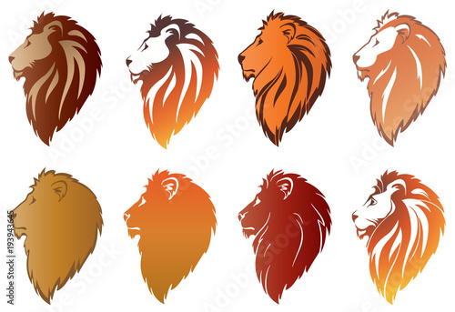 Fototapeta Naklejka Na Ścianę i Meble -  lion head
