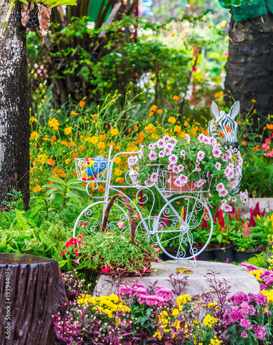 Fototapeta Naklejka Na Ścianę i Meble -  In cozy home garden on summer./ Vintage white bike and flowerpot in cozy home flowers garden on summer.  
