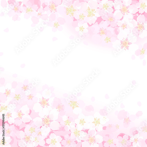 桜　背景