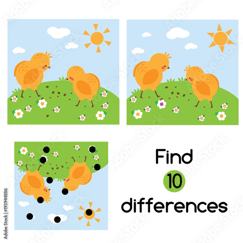 Find the differences educational children game. Kids activity sheet with chickens on grass