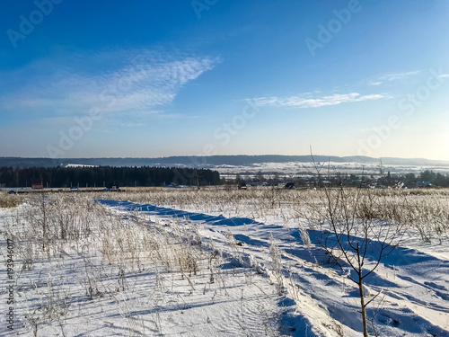 snow-covered grass on the field in a sunny afternoon in frost © fedorovekb