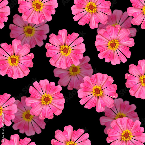 Beautiful floral background of pink tsiny 