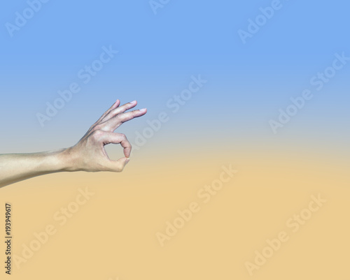 Ok agree hand gesture on pastel background color