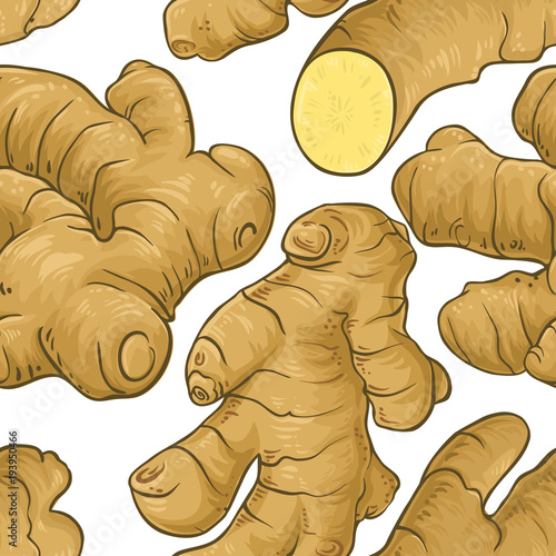 ginger vector pattern