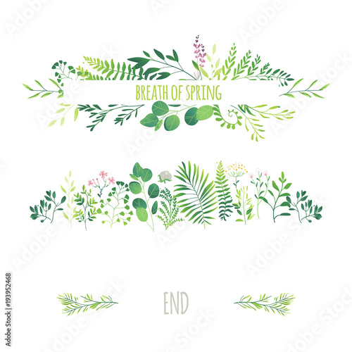 Vector cartoon abstract green plants flower herbs frame and pattern set. Meadow garden spring easter, women day romantic holiday, wedding invitation card summer floral Illustration white background