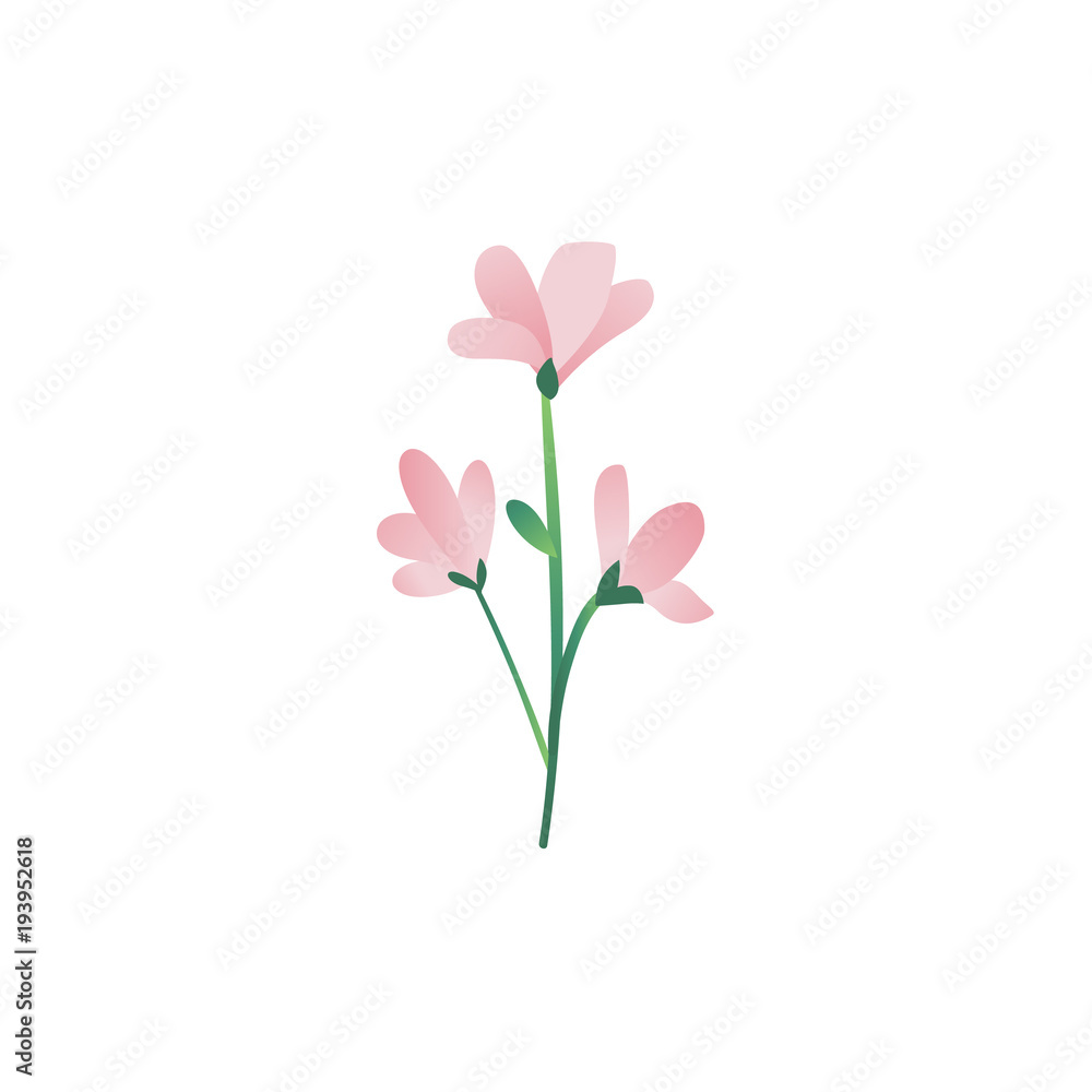 Vector cartoon abstract pink flower icon. Meadow garden spring easter women day romantic holiday, wedding invitation card decoration element summer floral Illustration white background