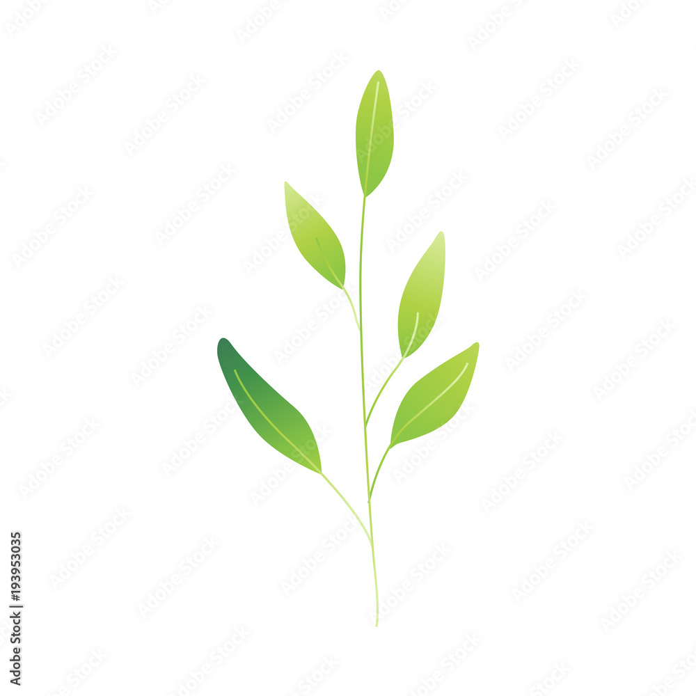 Obraz premium Vector cartoon abstract green plant icon. Wild meadow field grass garden spring easter, women day romantic holiday, wedding invitation card decoration summer floral Illustration white background
