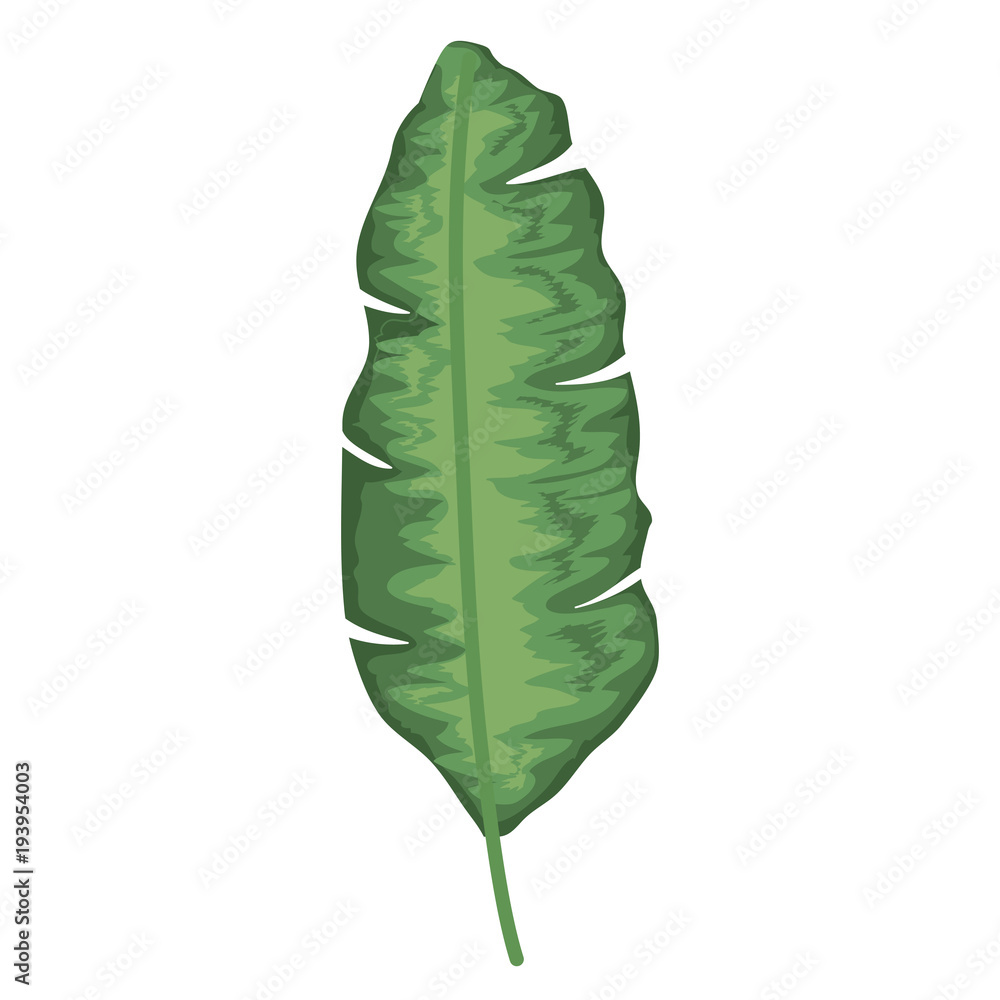 tropical leaf palm icon vector illustration design tropical leaf palm icon vector illustration design