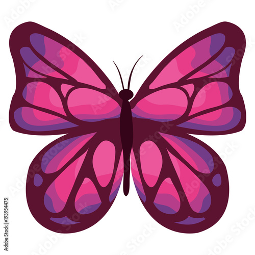 beautiful butterfly decorative icon vector illustration design