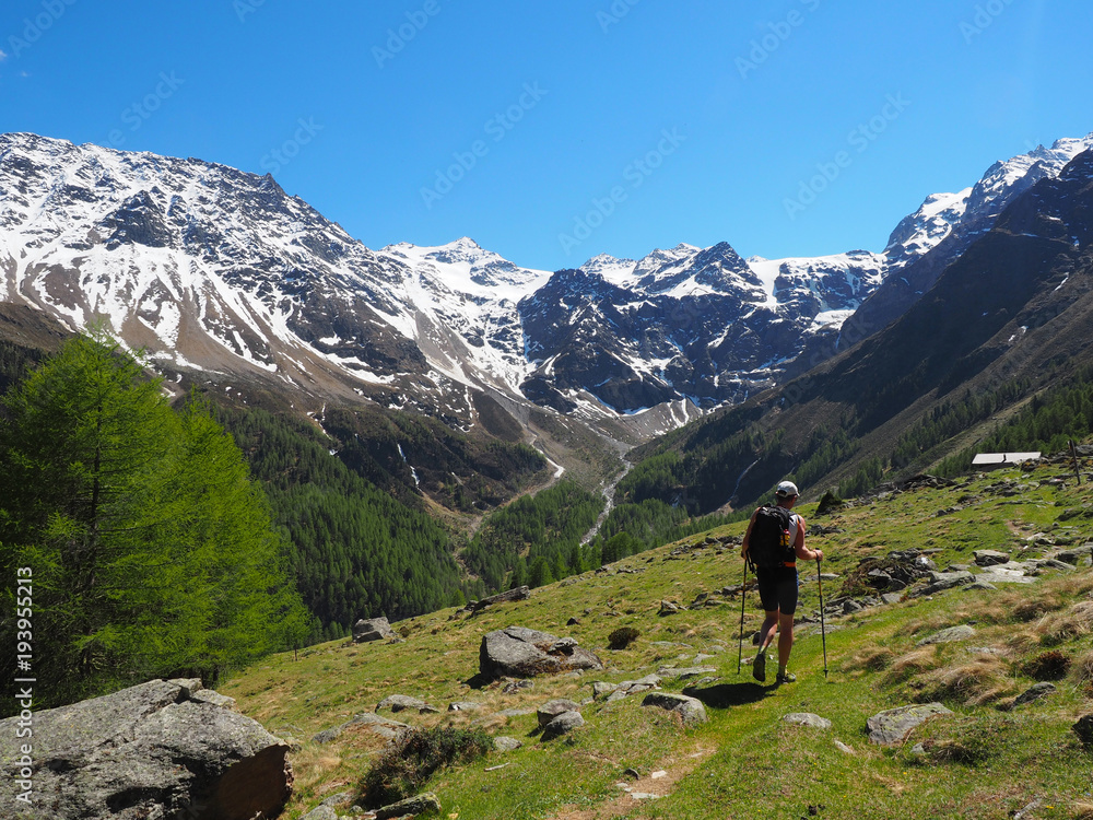 Südtirol - Wandern zur Oberen Laaser Alm