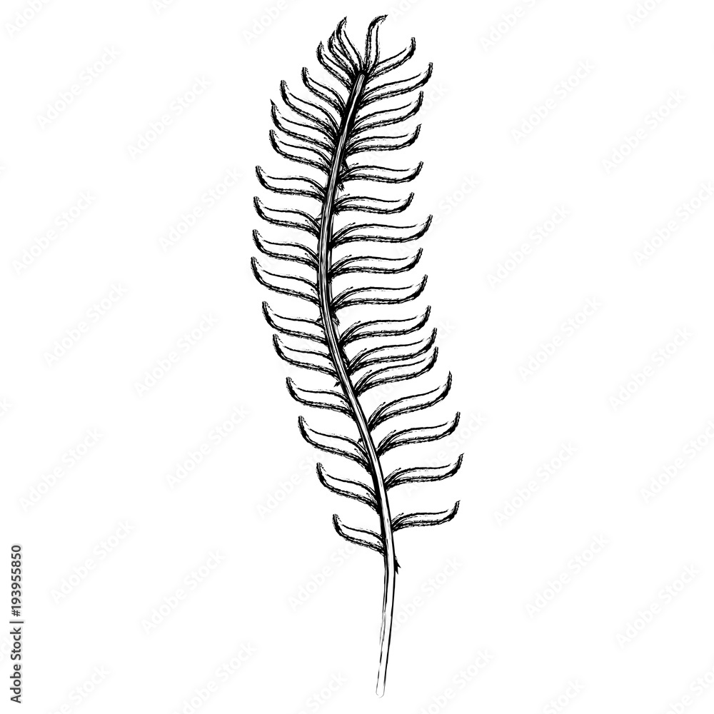 tropical leaf palm icon vector illustration design tropical leaf palm icon vector illustration design