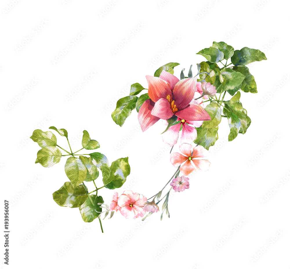 Fototapeta premium watercolor painting of leaves and flower, on white background