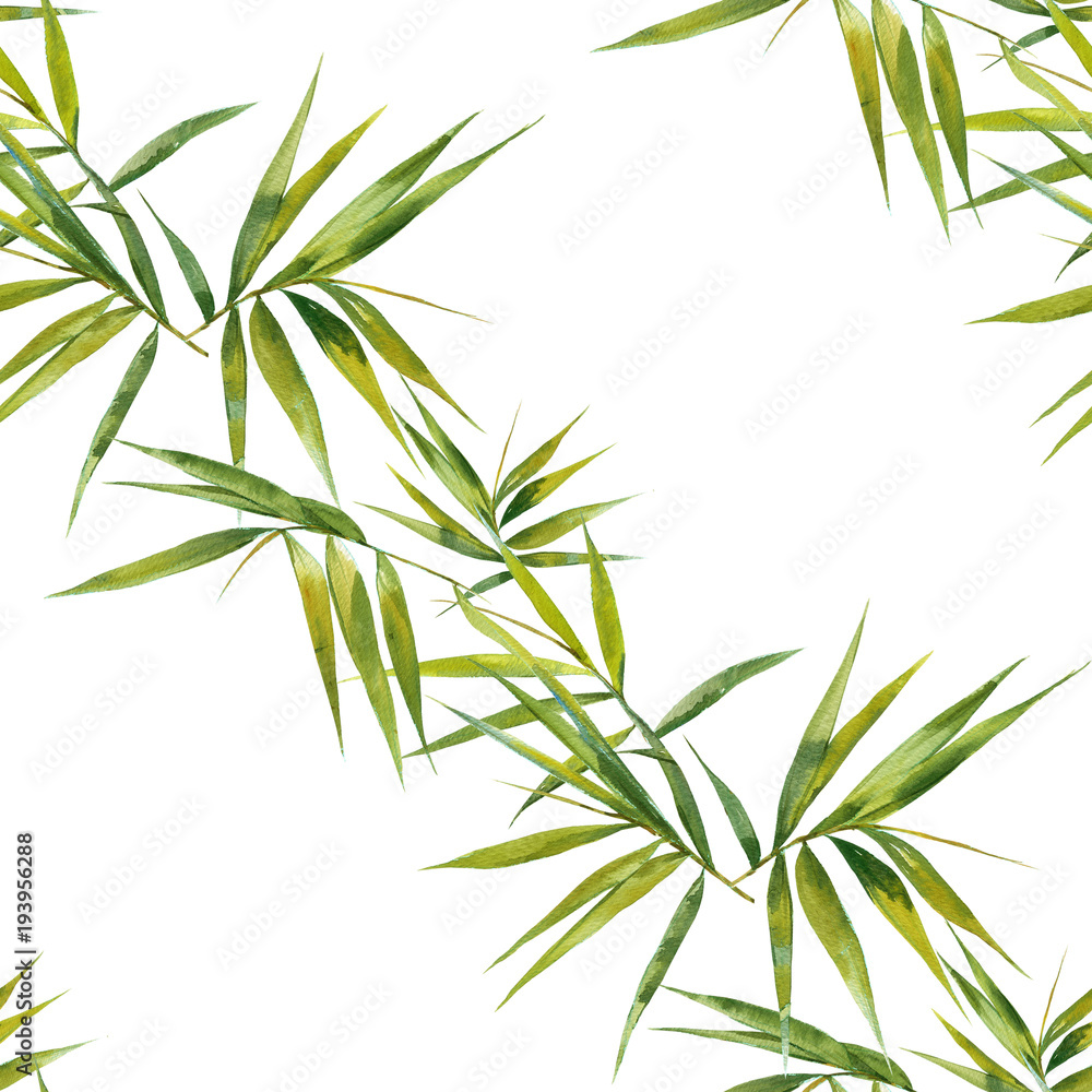 Watercolor illustration of bamboo leaves , seamless pattern on white background Watercolor illustration of bamboo leaves , seamless pattern on white background