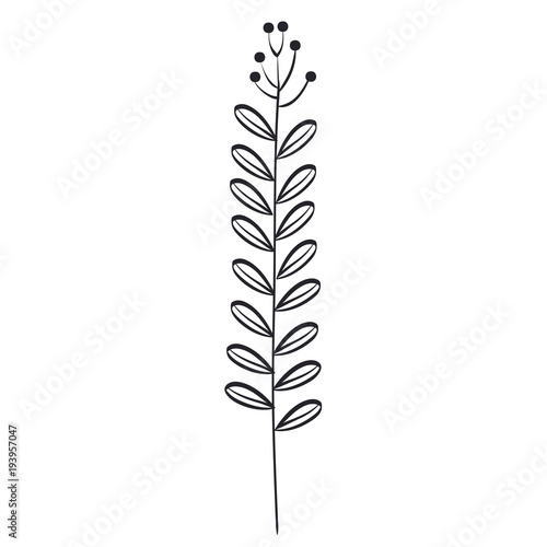 branch with leafs plant ecology icon vector illustration design