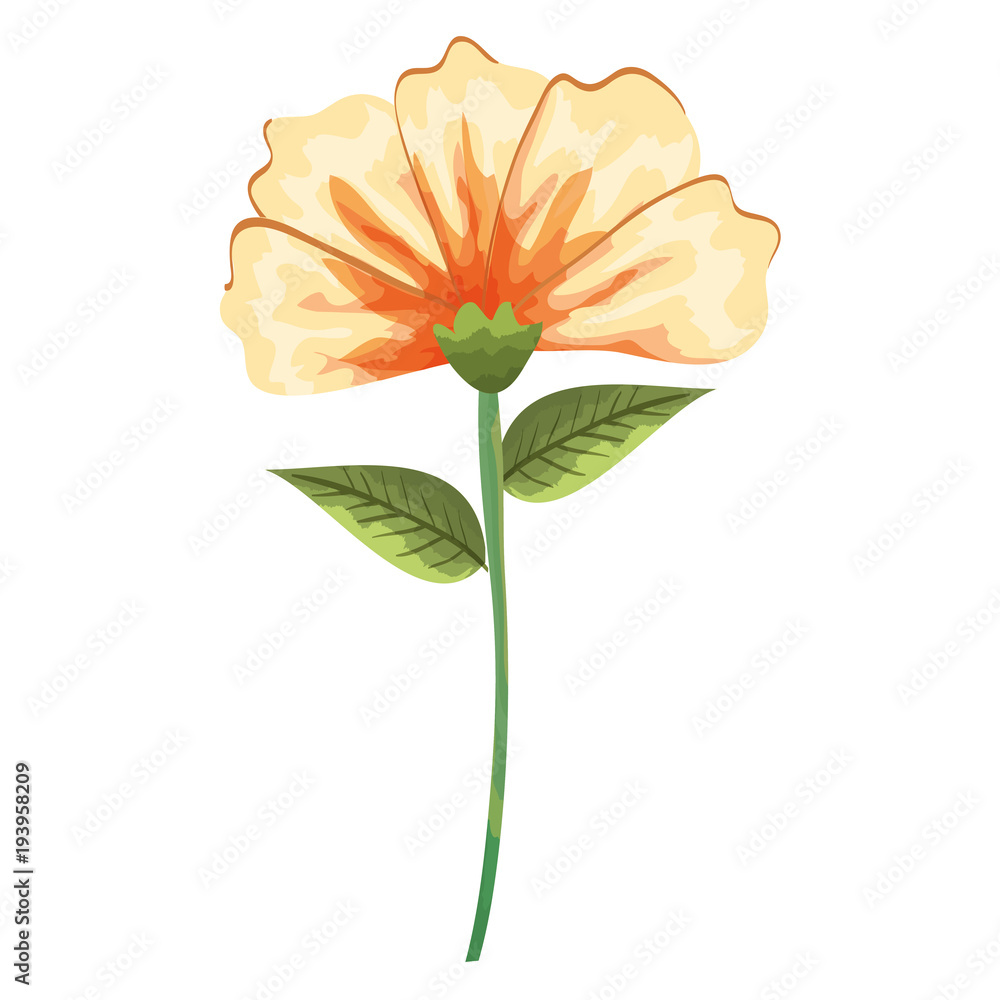 Naklejka premium tropical and exotic flower decorative vector illustration design