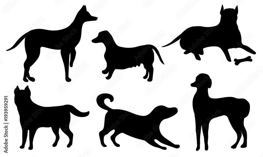 Set of dogs. Black silhouette of a dog isolated on a white background. Collection of black icons of dogs. Vector illustration.