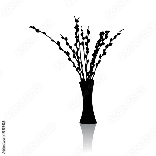 Realistic vector illustration of pussy willow branches on a white background
