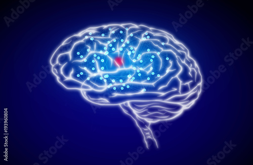 An illustration of a human brain on a colored background symbolising intelligence, mental health and creative thinking.