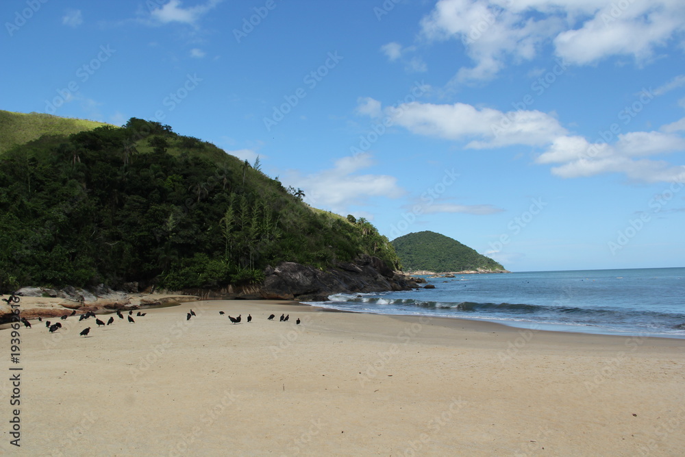 Brazilian Beach