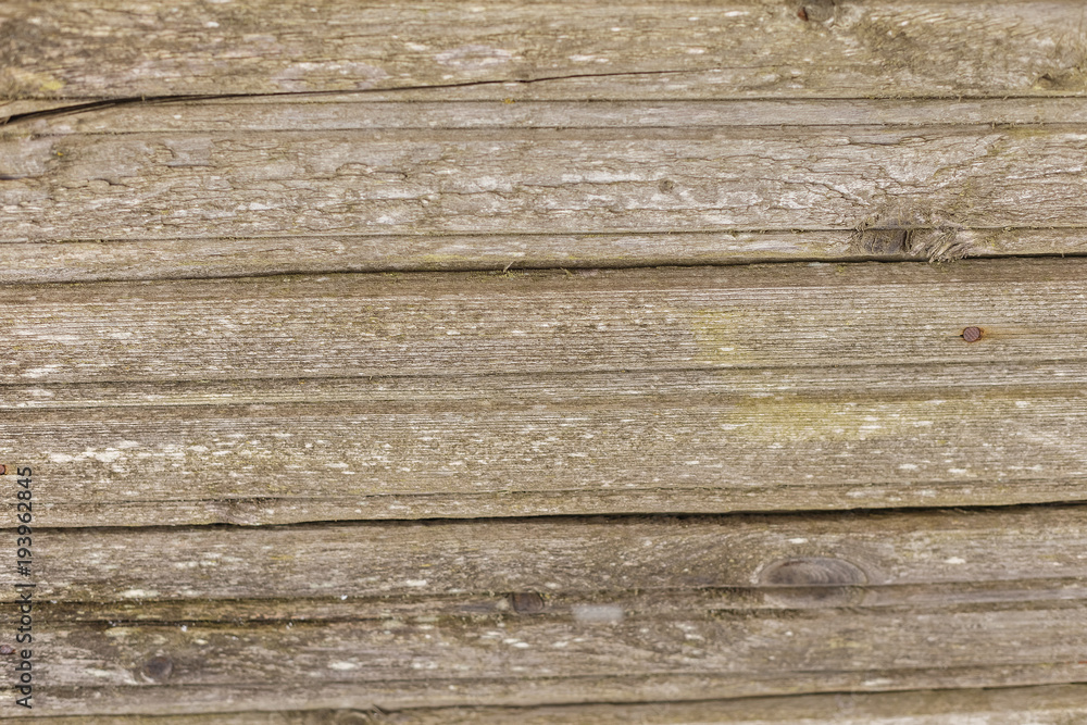 Fototapeta premium wooden backgrounds