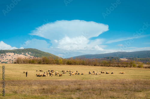 Whirlwind Landscape