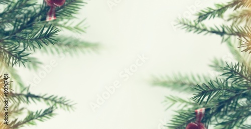 Spring background with spruce for text