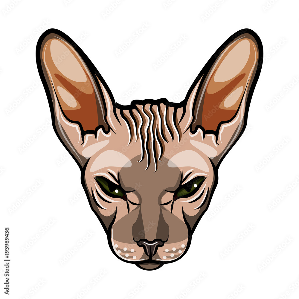 Domestic cat s face. Sphynx breed. Comic cartoon style. Vector illustration isolated on white