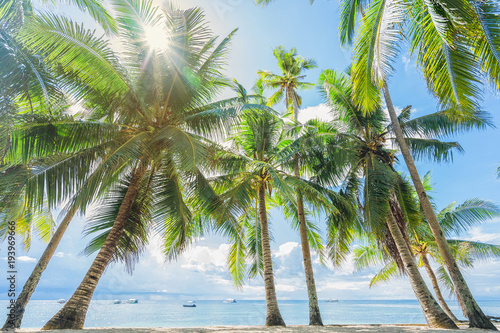 Alona beach  Panglao  Philippines. Coconut palms on the shore.