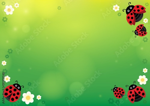 Spring background with ladybugs 1