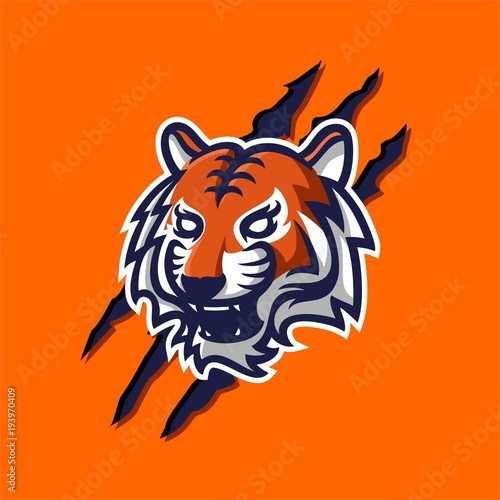 Fototapeta Naklejka Na Ścianę i Meble -  tiger mascot logo template for sport, game crew, company logo, college team logo