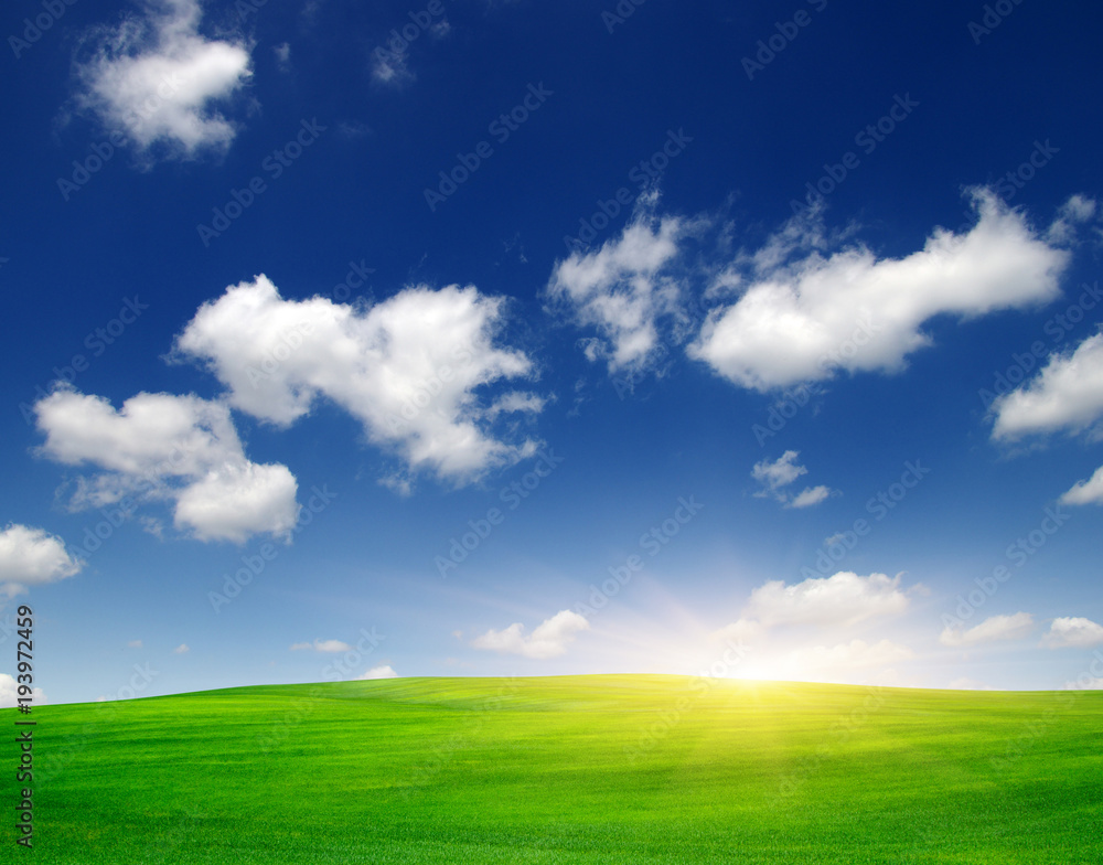 Obraz premium Green field and sun.