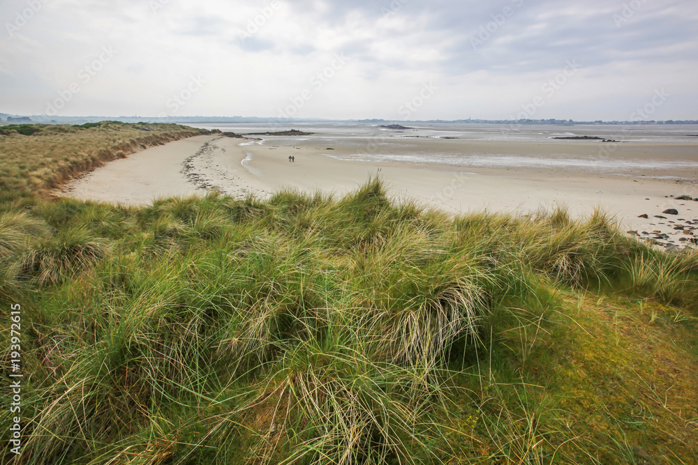 Sand beach and dunes covered with green grass in the north of Brittany at low tide, France