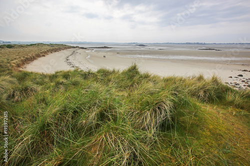 Sand beach and dunes covered with green grass in the north of Brittany at low tide  France
