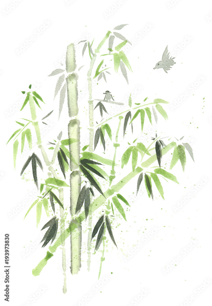 Obraz premium growing bamboo forest illustartion