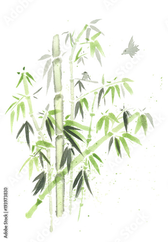 growing bamboo forest illustartion