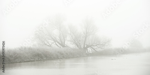Magic foggy winter landscape at the Yser river in Diksmuide