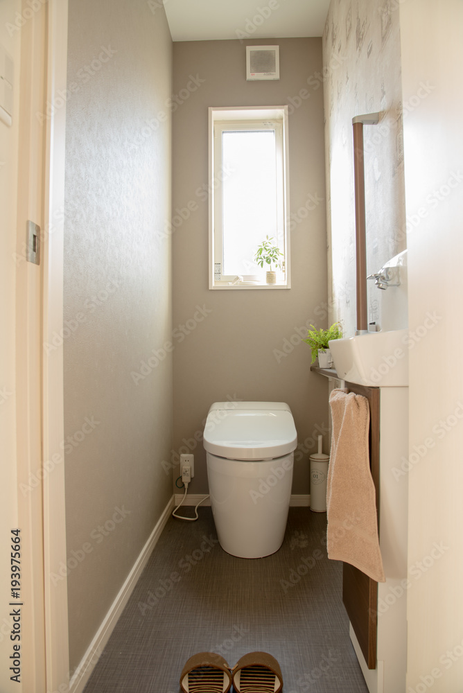 Obraz premium 住宅のトイレ