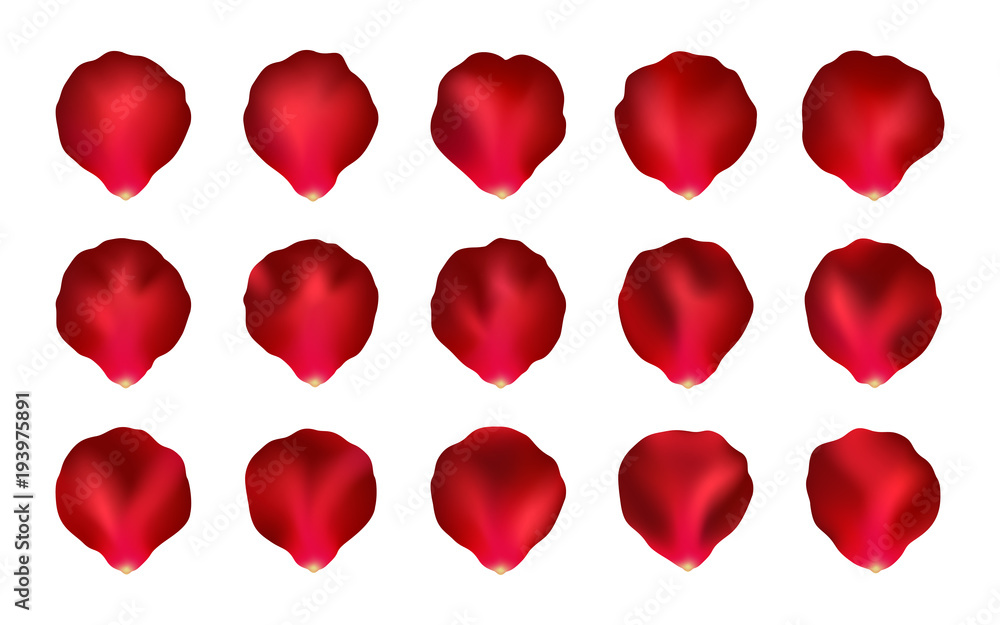 Set of Red Rose Petals, Mesh Set of Red Rose Petals, Mesh