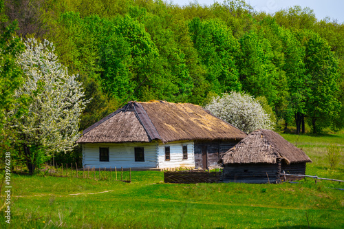 small ethnic rural house in a garden
