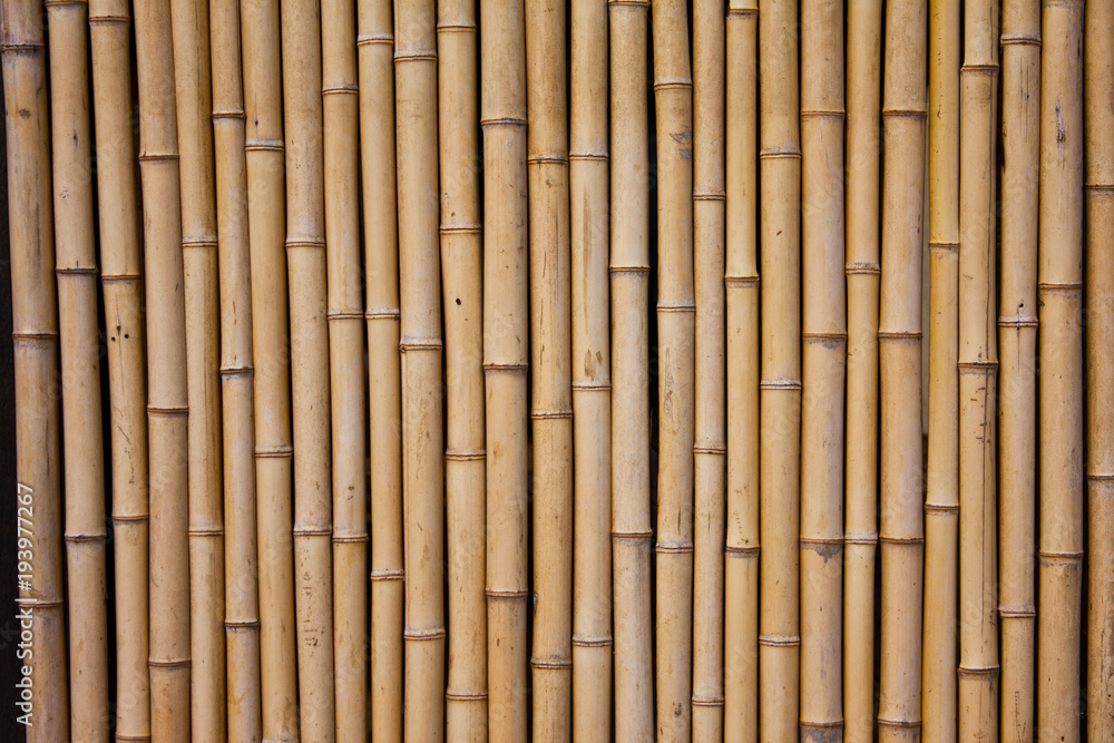 bamboo, wood, texture, wall, pattern, brown, fence, mat, nature, stick,  natural, wooden, wallpaper, material, tree, yellow, textured, tropical,  abstract, asia, striped, backgrounds, closeup, decor Stock Photo