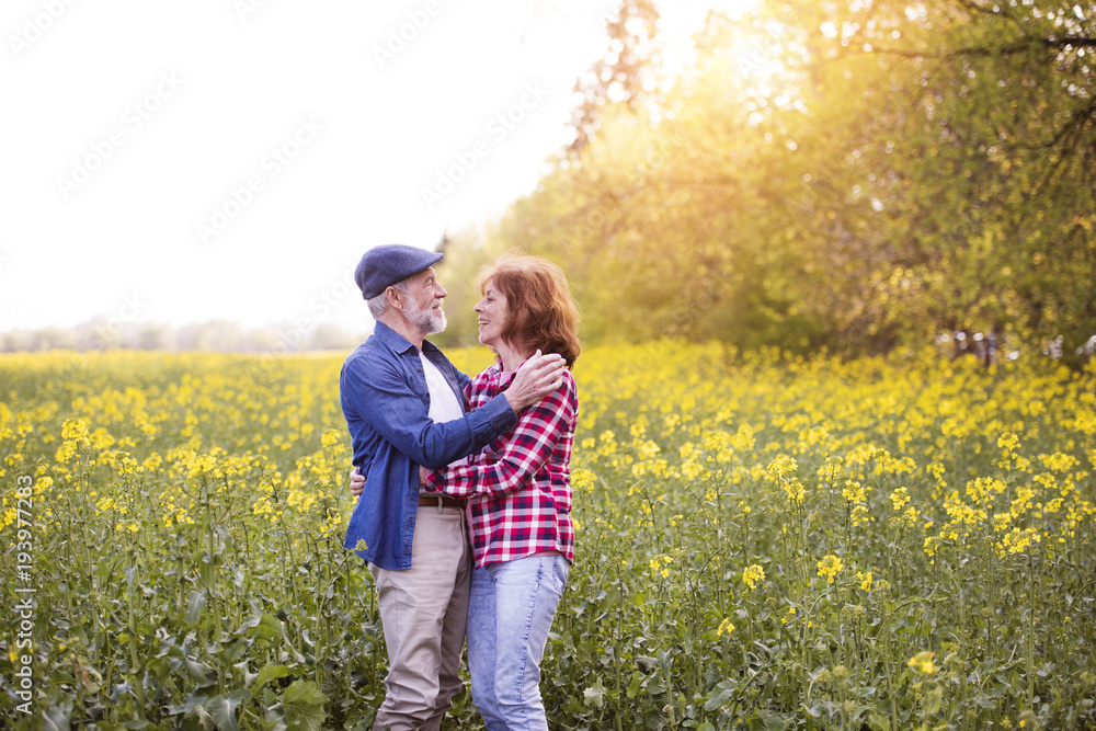 Beautiful senior couple in love outside in spring nature. Beautiful senior couple in love outside in spring nature.
