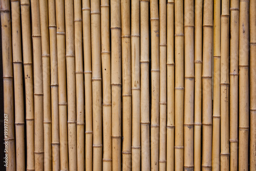 Fototapeta Naklejka Na Ścianę i Meble -  bamboo, wood, texture, wall, pattern, brown, fence, mat, nature, stick, natural, wooden, wallpaper, material, tree, yellow, textured, tropical, abstract, asia, striped, backgrounds, closeup, decor