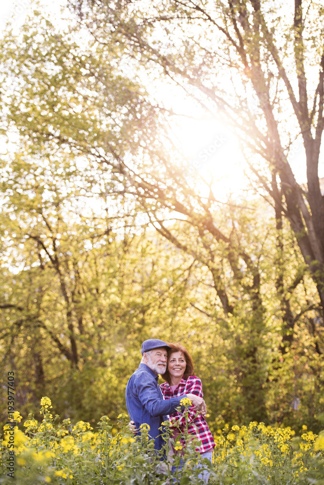 Beautiful senior couple in love outside in spring nature. Beautiful senior couple in love outside in spring nature.