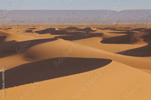 Arabian Sahara dunes in Morocco