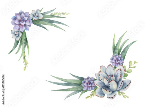 Watercolor vector wreath of cacti and succulent plants isolated on white background.