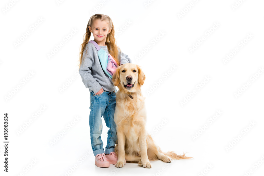 Little child standing with golden retriever isolated on white Little child standing with golden retriever isolated on white