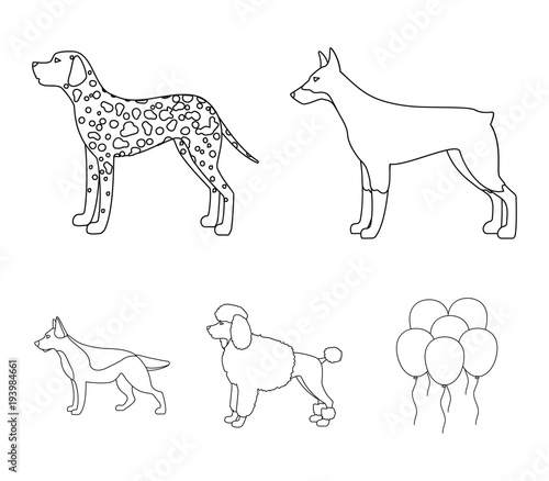 Poodle, doberman, dolmatin, german shepherd.Dog breeds set collection icons in outline style vector symbol stock illustration web. photo