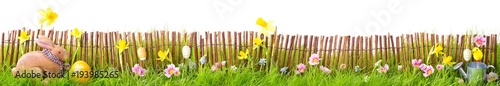 Ostern, Hintergrund, Banner, Freisteller  --  Osterhase, Blumen und Ostereier...
