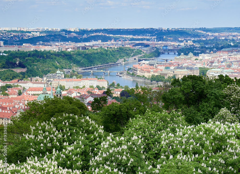 An aerial view of Prague on a sunny day in the Czech Republic.